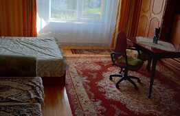 Apartament cu 2 camere, 50 mp, zona strazii Constantin Brancusi