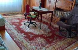 Apartament cu 2 camere, 50 mp, zona strazii Constantin Brancusi