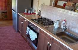 Apartament cu 2 camere, 50 mp, zona strazii Constantin Brancusi