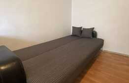 Garsoniera proaspat zugravit,  decomandat, 30 mp, pet friendly, zona Expo Transilvania, Marasti!