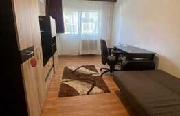 Garsoniera proaspat zugravit,  decomandat, 30 mp, pet friendly, zona Expo Transilvania, Marasti!