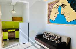 Apartament tip studio, 30 mp, zona Fabricii de Zahar