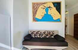 Apartament tip studio, 30 mp, zona Fabricii de Zahar