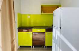 Apartament tip studio, 30 mp, zona Fabricii de Zahar