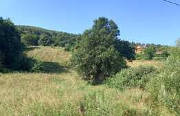 OCAZIE !!! Blitz ofera spre vanzare teren intravilan Gilau, 5400 mp, front 30 ml