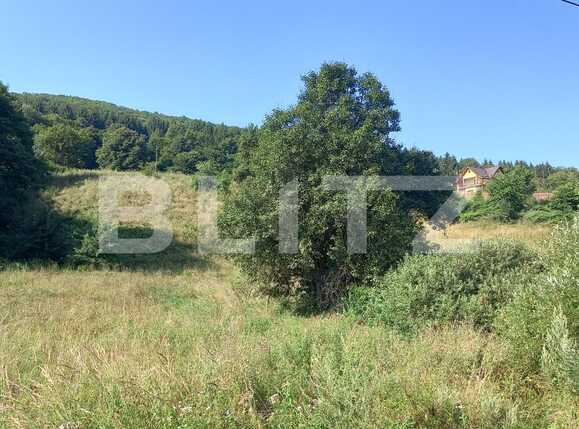 Teren de vânzare Exterior Vest - 70636TV | BLITZ Cluj-Napoca | Poza1