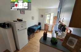 Apartament 2 camere, 45mp, etaj intermediar, zona Marasti