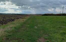 Blitz propune spre vanzare teren extravilan in Jucu 2877mp, front 15 ml