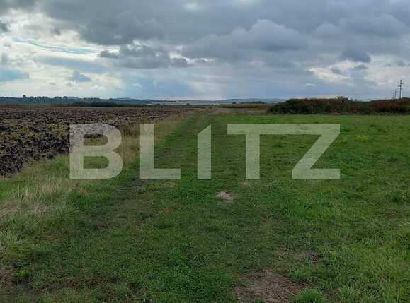 Teren de vânzare Exterior Est - 70648TV | BLITZ Cluj-Napoca | Poza3