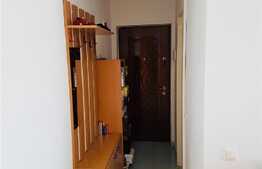 Garsoniera de inchiriat, 33mp,balcon, zona strazii Fantanele ,  Grigorescu 