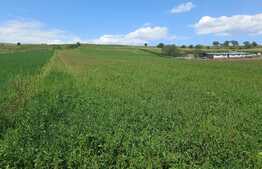 Teren de investitie zona Filea Craiesti 