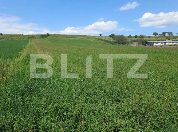 Teren de vânzare Exterior Vest - 70651TV | BLITZ Cluj-Napoca | Poza1