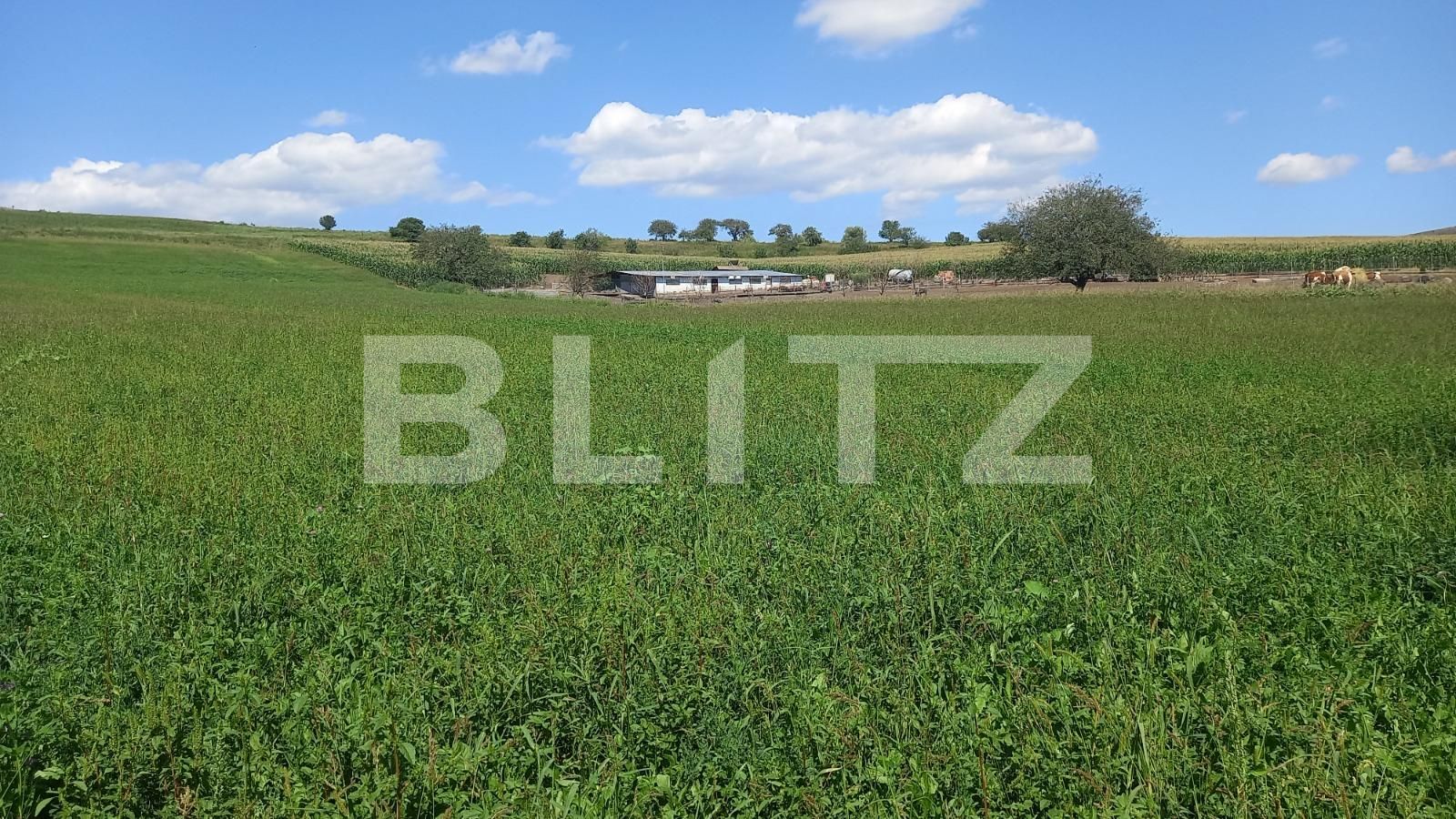 Teren de vânzare Exterior Vest - 70651TV | BLITZ Cluj-Napoca | Poza2