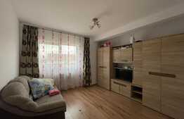 Apartament 2 camere decomnadate, someseni!