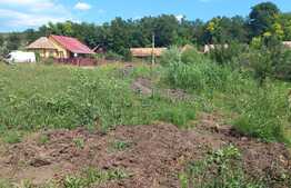 Teren intravilan cu suprafata de 2900mp,  32ml front, Craiesti