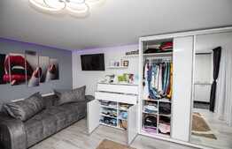 Apartament cu o camera, 35 mp, placut mobilat/utilat, cartier Buna Ziua