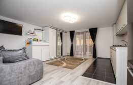 Apartament cu o camera, 35 mp, placut mobilat/utilat, cartier Buna Ziua