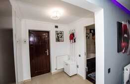 Apartament cu o camera, 35 mp, placut mobilat/utilat, cartier Buna Ziua