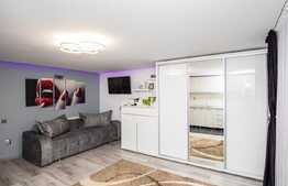 Apartament cu o camera, 35 mp, placut mobilat/utilat, cartier Buna Ziua