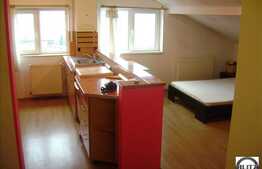 1 camera, 35 mp, complet mobilat, zona strazii Frunzisului