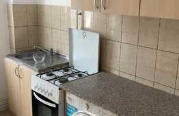 Apartament 2 camere, 60 mp, zona linistita, cartier Garii 