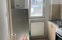 Apartament 2 camere, 60 mp, zona linistita, cartier Garii 