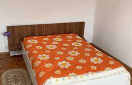 Apartament 2 camere, 60 mp, zona linistita, cartier Garii 