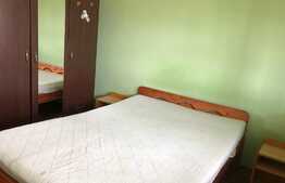 Apartament 2 camere, 55 mp, pet friendly, zona Iulius Mall