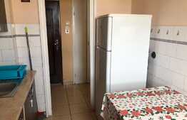 Apartament 2 camere, 55 mp, pet friendly, zona Iulius Mall