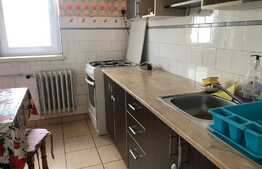 Apartament 2 camere, 55 mp, pet friendly, zona Iulius Mall