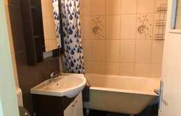 Apartament 2 camere, 55 mp, pet friendly, zona Iulius Mall