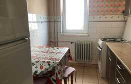Apartament 2 camere, 55 mp, pet friendly, zona Iulius Mall