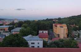 Apartament 2 camere 41mp + terasa de 9mp, zona USAMV , Kaulfand.