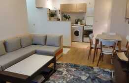 Apartament 2 camere 41mp + terasa de 9mp, zona USAMV , Kaulfand.