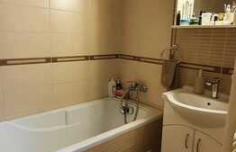 Apartament 2 camere 41mp + terasa de 9mp, zona USAMV , Kaulfand.