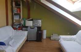 Investiție ! Casa 378 mp utili, 1256 mp teren ! Pretabil Booking, inchiriere, Airbnb ! 