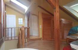 Investiție ! Casa 378 mp utili, 1256 mp teren ! Pretabil Booking, inchiriere, Airbnb ! 