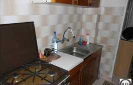 Vanzare apartament 2 camere, 43 mp utili, zona Hateg