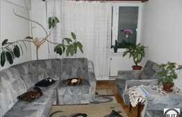 Vanzare apartament 2 camere, 43 mp utili, zona Hateg