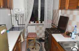 Vanzare apartament 2 camere, 43 mp utili, zona Hateg