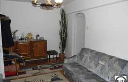 Vanzare apartament 2 camere, 43 mp utili, zona Hateg