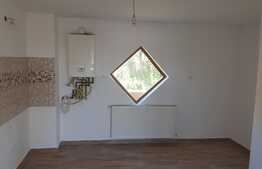 Vila cu arhitectura unica, 230 mp, 800 mp teren, Sannicoara