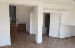 Vila cu arhitectura unica, 230 mp, 800 mp teren, Sannicoara