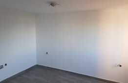 Vila cu arhitectura unica, 230 mp, 800 mp teren, Sannicoara