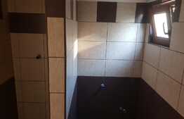 Vila cu arhitectura unica, 230 mp, 800 mp teren, Sannicoara