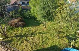 Vila cu arhitectura unica, 230 mp, 800 mp teren, Sannicoara