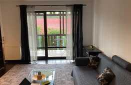 Apartament 2 camere, 57mp, Tampa Gardens