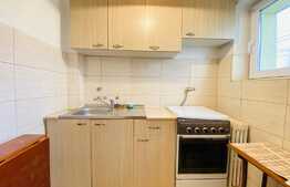 Apartament cu o camera, 30 mp, zona strazii Bucuresti