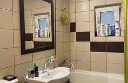 Apartament decomadat, garaj, parcare, boxa de 18 mp, zona Gheorghe Doja