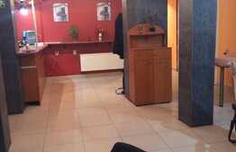 Pensiune, 370 mp utili, 514 mp teren, Gruia